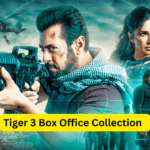 TIGER 3 BOX OFFICE COLLECTION