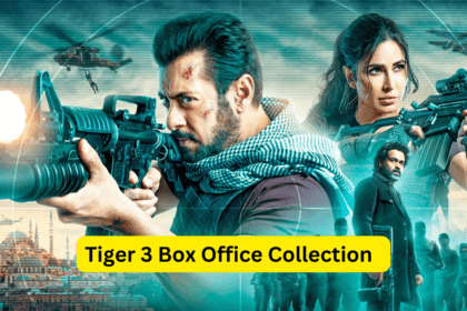 TIGER 3 BOX OFFICE COLLECTION